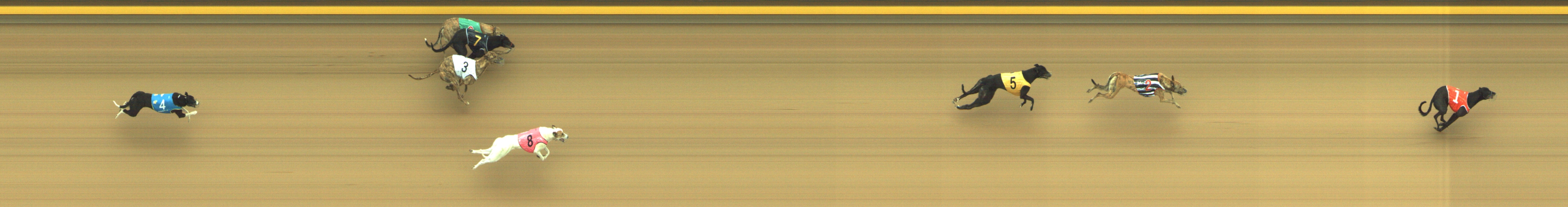 Race result finish photo